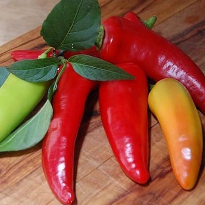 Puntpaprika zaden - Hungarian Sweet Wax