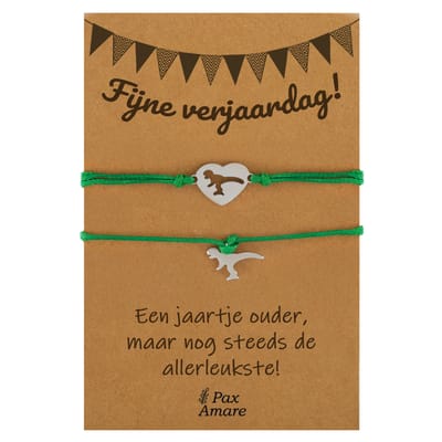 Vriendschapsarmbandjes voor 2 "Fijne Verjaardag" - Dinosaurus - BFF Armbandjes met Persoonlijk Cadeau Kaartje - Zilverkleurig & Groen - Elastisch Verstelbaar - Pax Amare