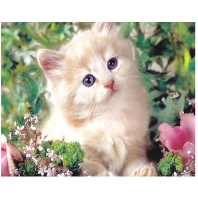 Diamond Mozaïek Schilderijen Swing Muis Foto Van Steentjes Diamond Schilderen Cross Stitch Diamond Borduren Bloemen Handgemaakt 20X30CM