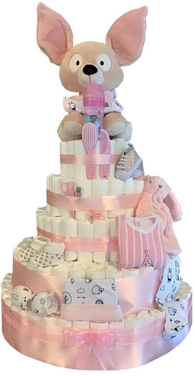 XXXL Pampertaart met 435 pampers & Nici Fehmi junior Vos