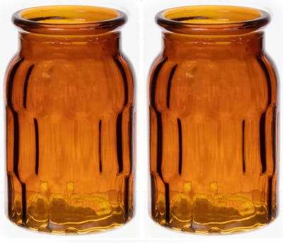 Bellatio Design Bloemenvaas - set van 2x - bruin - transparant glas - D12 x H18 cm - vaas