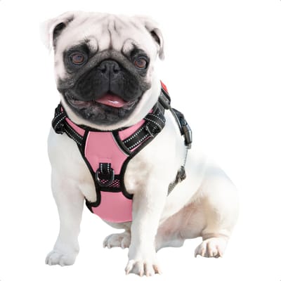 JAXY Hondenharnas - Hondentuig - Hondentuigje Kleine Hond - Y Tuig Hond - Harnas Hond - Anti Trek Tuig Hond - Reflecterend - Maat S - Roze