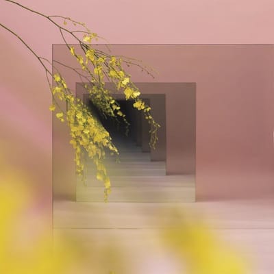 Witxes - Orients (LP) (Coloured Vinyl)