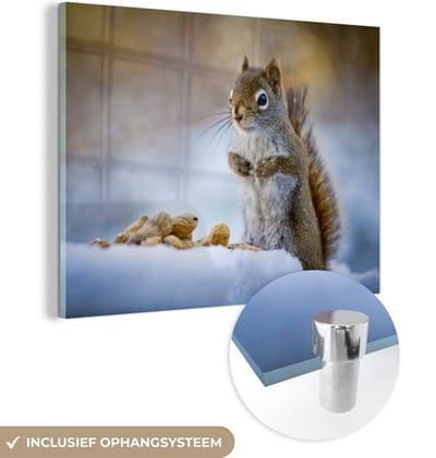 MuchoWow® Glasschilderij 40x30 cm - Schilderij acrylglas - Eekhoorn - Noten - Sneeuw - Winter - Knaagdieren - Seizoenen - Foto op glas - Schilderijen