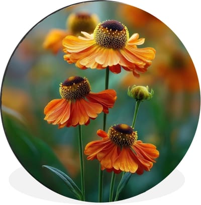 WallCircle - Wandcirkel - Muurcirkel - Oranje bloemen - Levendig - Wazige achtergrond - Aluminium - Dibond - 30x30 cm - Binnen en Buiten