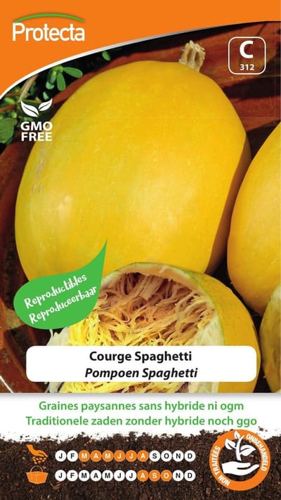 Protecta Groente zaden: Pompoen Spaghetti