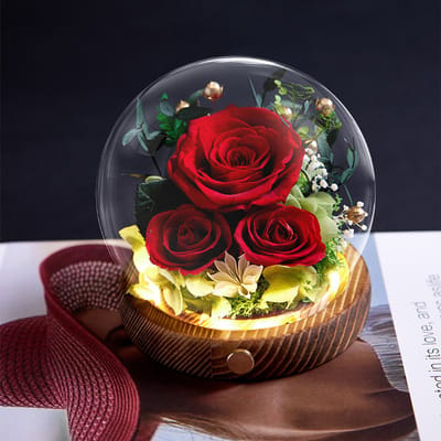 KZQ Een prachtig cadeau voor vrouwen, moeders en grootmoeders: geconserveerde bloemen met LED-lampjes in een glazen koepel; gloeiende rozen als cadeau voor een verjaardag, Kerstmis of Valentijnsdag voor meisjes, vrouwen en vriendinnen.