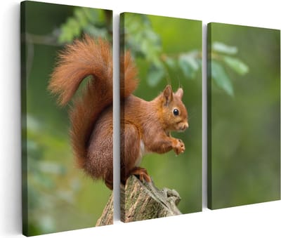 Artaza Canvas Schilderij Drieluik Eekhoorn op een Boomstam in het Bos - 180x120 cm - Groot - Wanddecoratie Woonkamer - Schilderijen - Muurdecoratie
