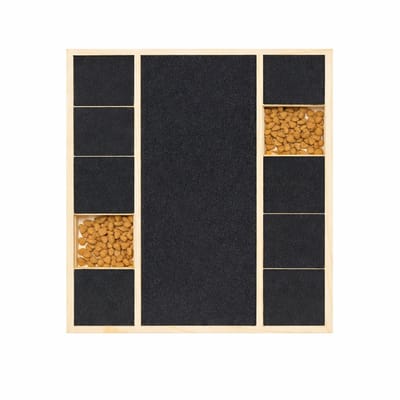 BlueTime - Krabplank Hond - Honden Krab Plank - Hondenkrabplank - Krabplanken - Krapplank - Nagelknipper - Nagelvijl - Traktatie Box - Vakjes Variant