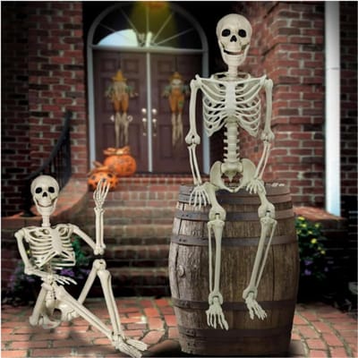 Thuys – Halloween Schedel Skelet 90cm – Kunststof Skelet Met Beweegbare Gewrichten