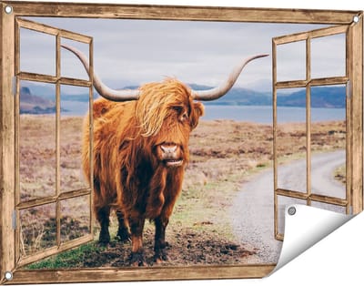 Gards Tuinposter Doorkijk Schotse Hooglander Koe op de Weg - 90x60 cm - Tuindoek - Tuindecoratie - Wanddecoratie buiten - Tuinschilderij