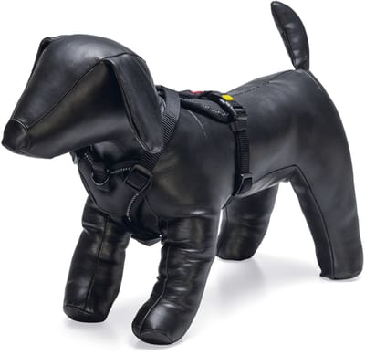 Beeztees Hondentuig Parinca Premium Y-Tuig - Hondenharnas kleine honden - Nylon - Zwart - 37-40cmx15mm