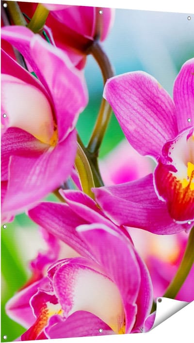Gards Tuinposter Licht Paarse Orchidee Bloemen - 100x150 cm - Tuindoek - Tuindecoratie - Wanddecoratie buiten - Tuinschilderij