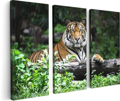Artaza Canvas Schilderij Drieluik Tijger In Het Bos - 120x80 - Foto Op Canvas - Canvas Print