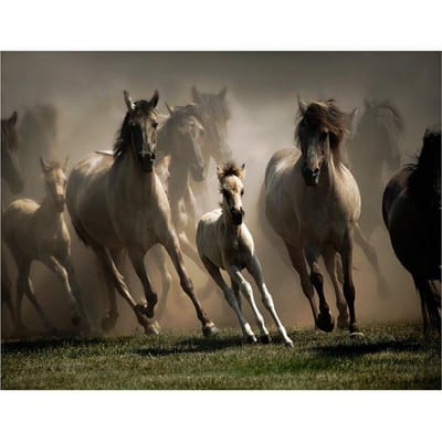 Kits de Peinture Mosaïque Broderie Diamant Autocollant Mural Croix Cheval Course Relaxation Image Décoration Maison 20X30CM