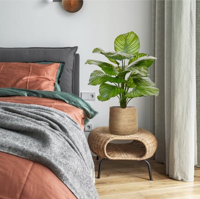 Calathea Fasciata kunstplant 70cm