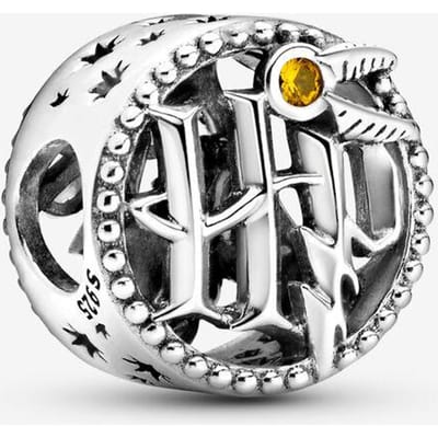 Koperen Harry Potter Bedel Serie Hangende Bedel Armbanden Hanger Sieraden gray