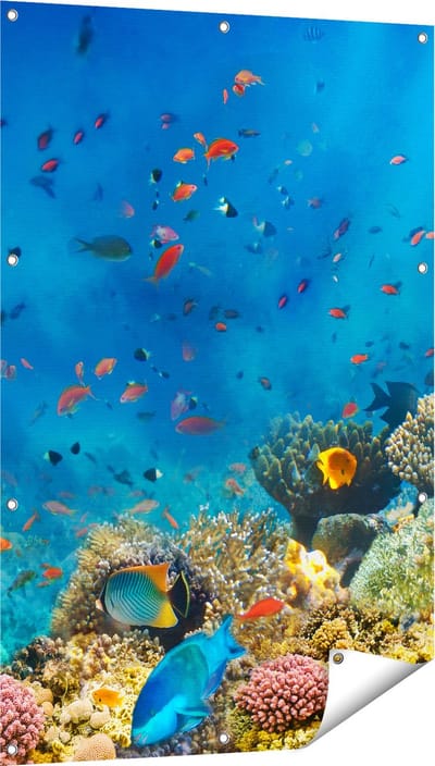 Gards Tuinposter Onderwater Vissen met Koraal in de Zee - 80x120 cm - Tuindoek - Tuindecoratie - Wanddecoratie buiten - Tuinschilderij