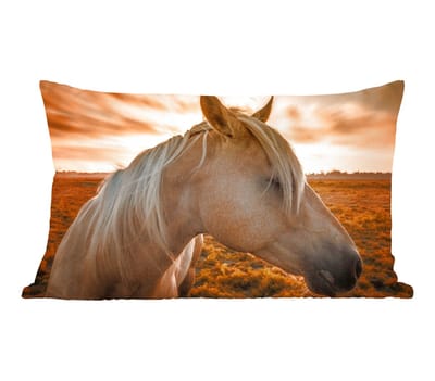 Sierkussens - Kussentjes Woonkamer - 50x30 cm - Paard - Dieren - Portret