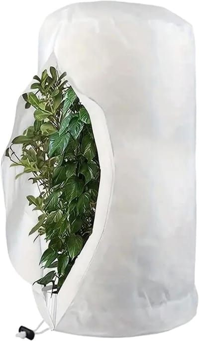 Winterbescherming voor Planten - 200 x 240 cm - Vorstbescherming, Tuinplanten, Buitenplanten