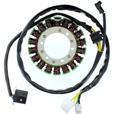 Originele aanpasbare motor dynamo Electrosport Kawasaki