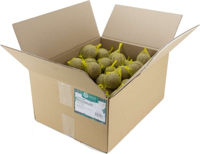 Hadivo Zomermezenbollen, doos 100 stuks