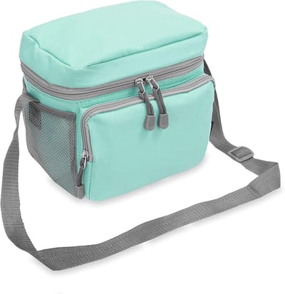 Koeler Lunchtas - Isolatie Tas - Verse Lunch - Compact Ontwerp - 21x15x18 cm