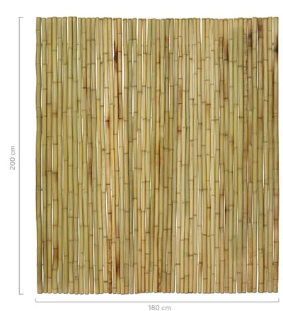 Masters of Bamboo® Bamboemat Large - 180 x 200 cm - Naturel - Bamboe schutting op rol - Bamboe mat