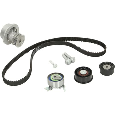 Schaeffler Ina Waterpomp+distributieriem set INA 530 0443 30