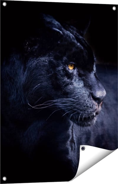 Gards Tuinposter Zwarte Panter - 60x80 cm - Tuindoek - Tuindecoratie - Wanddecoratie buiten - Tuinschilderij