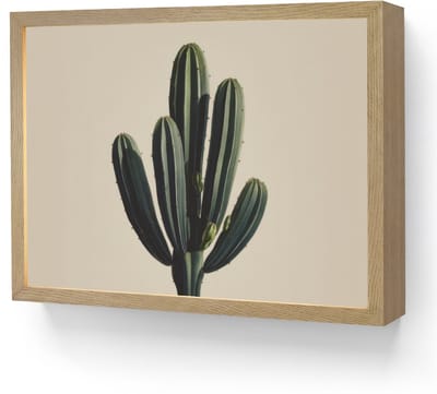 Wandlamp 40x30 cm - Oplaadbaar - Cactus - Subtiel - Groen - Wandlampen binnen woonkamer - Slaapkamer lamp - Decoratieve nachtlamp - Vloerlamp draadloos