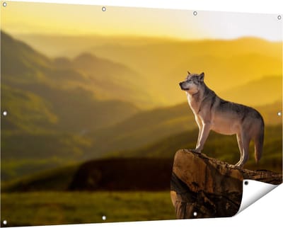 Gards Tuinposter Wolf op een Rots met een Heuvel Landschap - 150x100 cm - Tuindoek - Tuindecoratie - Wanddecoratie buiten - Tuinschilderij