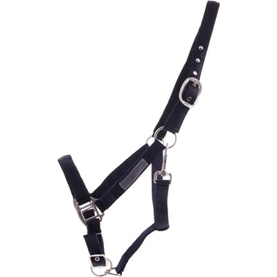 QHP Halster Gevoerd -  Zwart - Cob