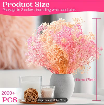 Mini Natuurlijk Gedroogd Gipskruid & 81+ Stuks Roze Baby's Brood Bulk - Perfect voor Thanksgiving, Halloween, Bruiloft, Knutselen & Vaas Decoratie