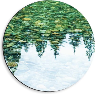Dibond Wandcirkel - Weerspiegeling van Bomen in Water - 40x40cm Foto op Aluminium Wandcirkel (met ophangsysteem)
