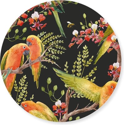 Tizato – Wandcirkel Vogels – Wanddecoratie Muurcirkel – Tuincirkel – Dibond – Ø 60 cm