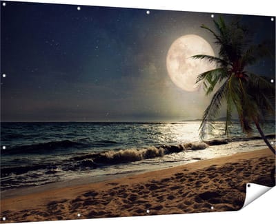 Gards Tuinposter Tropisch Strand in de Nacht met Volle Maan - 180x120 cm - Tuindoek - Tuindecoratie - Wanddecoratie buiten - Tuinschilderij