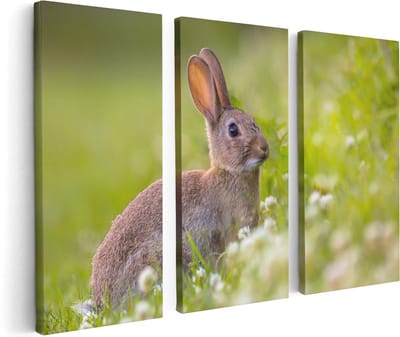 Artaza Canvas Schilderij Drieluik Konijn Tussen De Witte Bloemen - 120x80 cm - Wanddecoratie Woonkamer - Schilderijen - Muurdecoratie