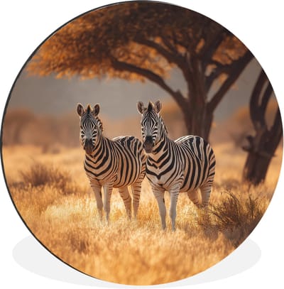WallCircle - Wandcirkel - Muurcirkel - Zebra's - Savannelandschap - Gras - Aluminium - Dibond - 30x30 cm - Binnen en Buiten