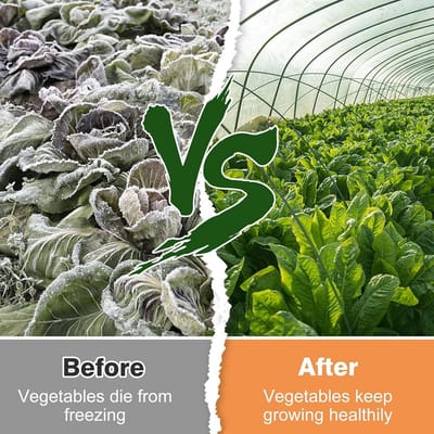 Ademende Vliesdoek voor Planten 2.5 x 10m - Vorstbescherming en Winterbescherming