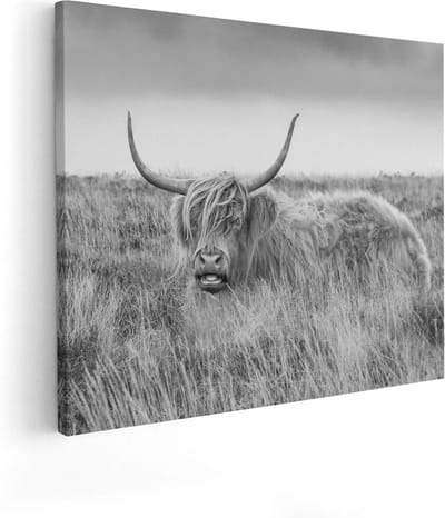 Artaza Canvas Schilderij Hooglander - 50x40 cm - Muurdecoratie Grasveld - Wanddecoratie Woonkamer - Kamer Accessoires