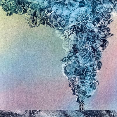 Daughn Gibson - Carnation (CD)