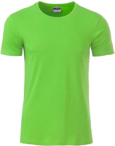 James and Nicholson - Heren Standaard T-Shirt (Limoen Groen)