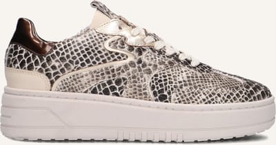 Haboob Filou Sneakers - Dames - Beige - Maat 42