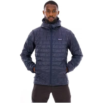 Patagonia Nano Puff Hoody Jas blauw