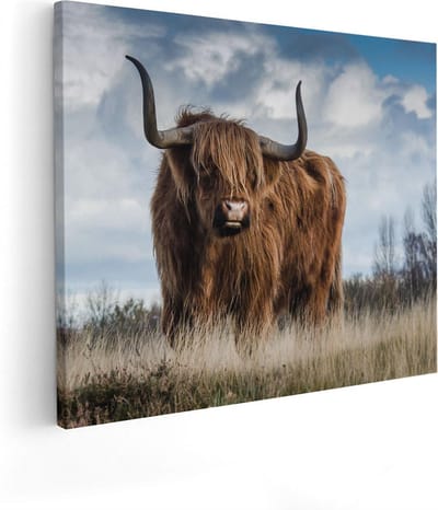 Artaza Canvas Schilderij Schotse Hooglander - 100x80 cm - Groot - Wanddecoratie Woonkamer - Muurdecoratie Dieren - Schilderijen Op Canvas