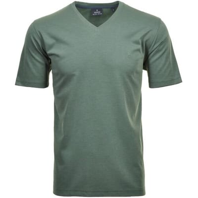 Ragman T-Shirt Softknit Uni Easy Care V-Neck Rietgroen / male