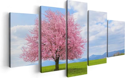 Artaza Canvas Schilderij Vijfluik Roze Sakura Bloesem Boom In Het Groene Veld - 100x50 - Foto Op Canvas - Canvas Print