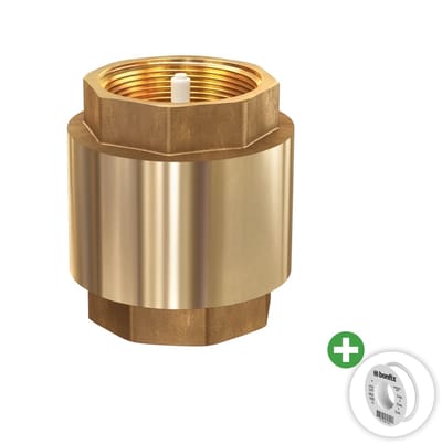 Deltaline - 1/2" Terugslagklep met kunststof insert - keerklep - 2x binnendraad - 18,6 mm - 12bar - Incl. PFTE Tape