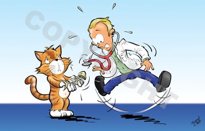 POSTER Cartoon - Dierenarts - Arme vis - 42 x 59,4 cm (A2) door Roland Hols